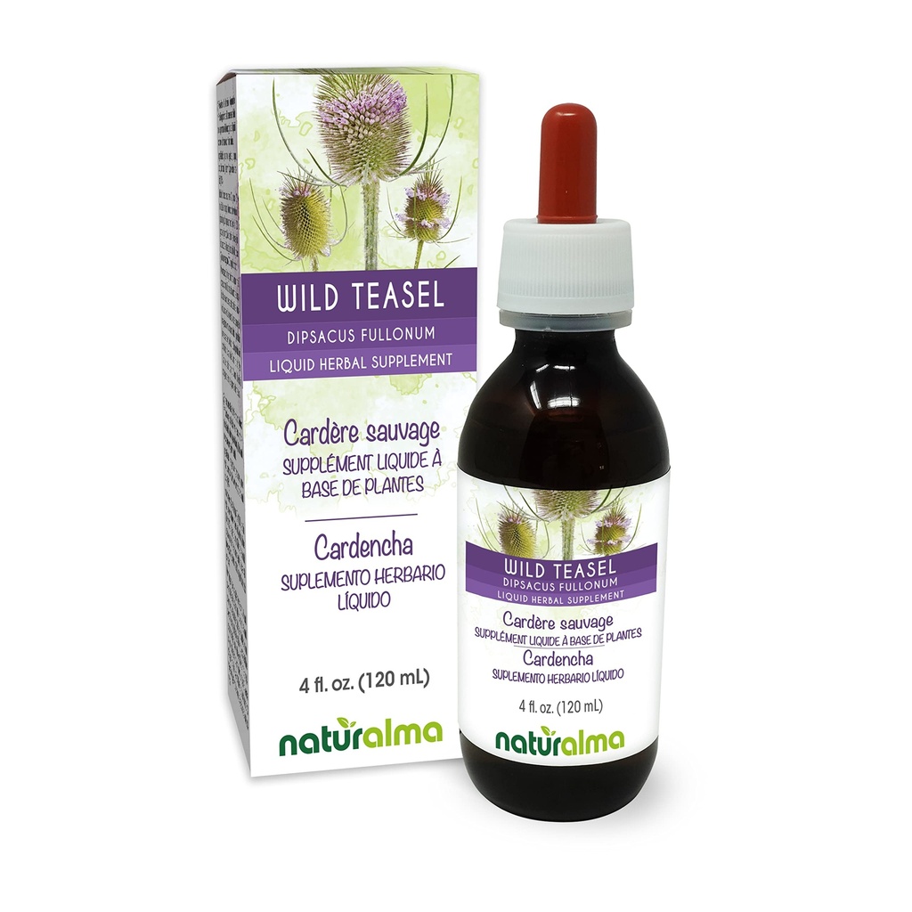 Naturalma Wild Teasel ali Fuller's Teasel (Dipsacus fullonum ali D. Sylvestris) Root Alkohol-free Tinkture - 4 fl oz Tekoči ekstrakt v kapljicah - Zeliščni dodatek - Vegan