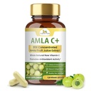 Organske kapsule Veda Amla Sadni sok, 20 X Koncentriran sok Amla Berry Extract Naravni vitamin C Dodatek - Močni antioksidanti, Immuniteta, kožna Radiance - Vegan Vitamin C Amla Kapsula v prahu 120