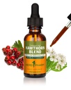 Herb Pharm Hawthorn Tekoči ekstrakt mešanice za kardiovaskularno in cirkulacijsko podporo, 1 Fl Oz