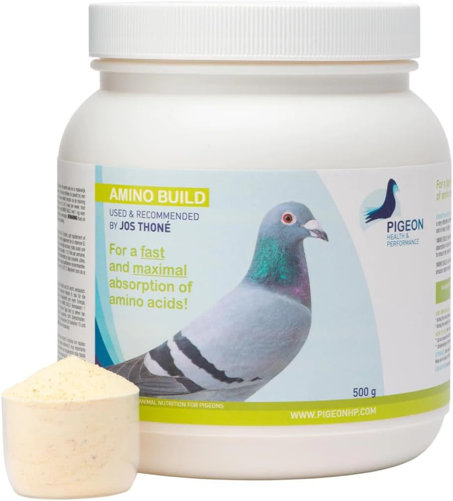 Generični PHP Amino Build 500g - Muscle-Building Aminokisline Golob Zdravje in učinkovitost