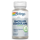 SOLARAY Bacillus Coagulans Probiotik - 5 milijard živih mikroorganizmov - Prebava in Gut Health Podpora - Celotno zdravje telesa probiotiki z Inulin Prebiotic Fiber, 60-dnevno garancijo, 30 Serv, 60 VegCaps