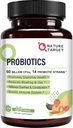 Probiotiki za ženske, moške in otroke, 60 milijard probiotik za digestivno zdravje -14 Sevi, Prebiotiki in probiotiki za Gut zdravje in imunosubvence, Gluten brezplačno, Non-GMO, 90 tablet