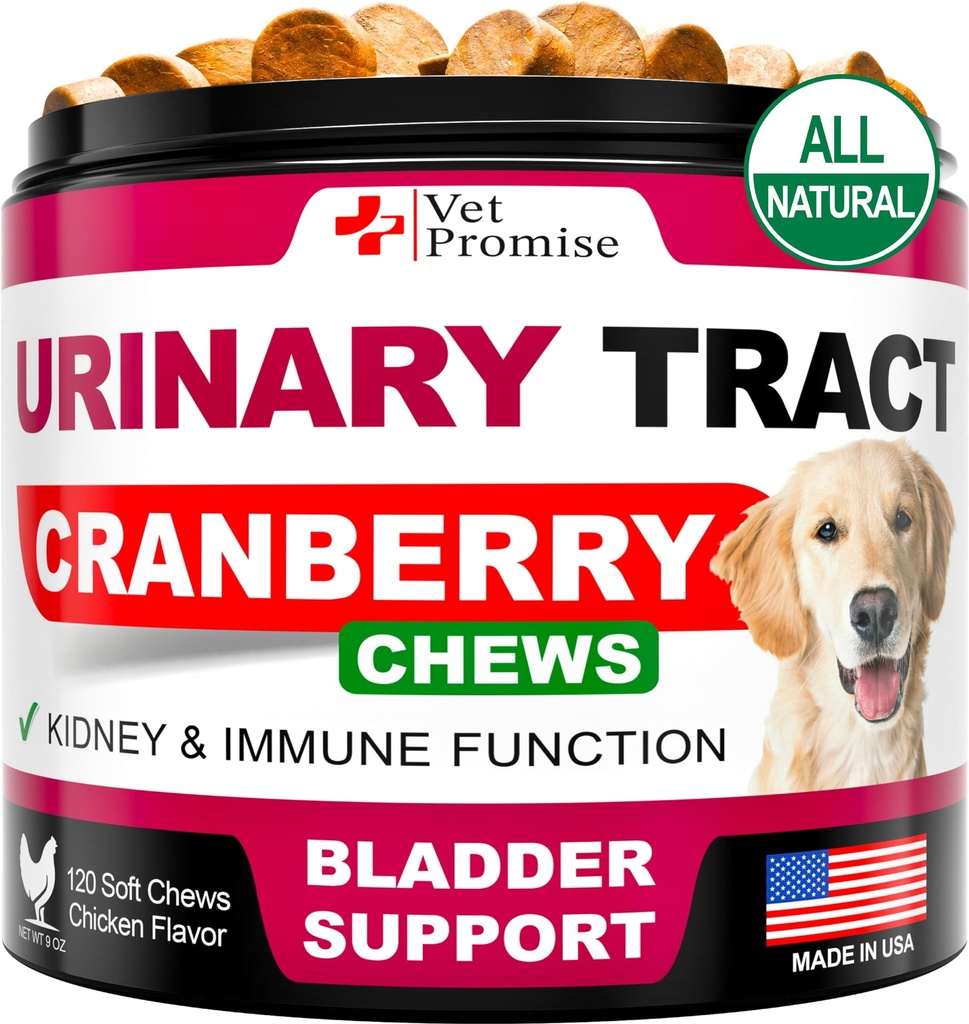 Dog UTI zdravljenje - brusnice dopolnilo za pse UTI - Bladder nadzor - sečilni trakt Infekcijsko zdravljenje Medicina - brusnični dodatek Vitamini Multivitaminski Chews - Made in USA