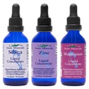 Eidon Ionic Minerals Tekoči silika, cink, & Magnezij kapljice Variety Pack - Silica, cink, & Magnezij dopolnila, Vse-naravnih minerali Trace, Brez konzervansov ali dodatkov - 2 oz, Pakiranje 3
