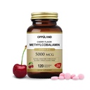 Metil B-12 5000mcg Žvečljiv s Folatom - Vitamin B12 Metilkobalamin Podjezične tablete - Podpira funkcije energije in možganov - Veganski dodatek - Cherry Flavor - 120 Count