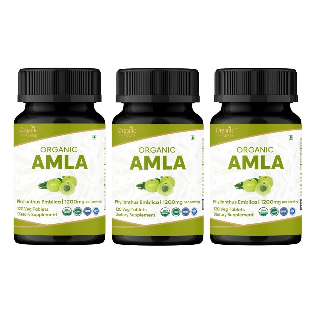 Amla 120 tablete – USDA Ekološka indijska kosmulja – bogata z vitaminom C in podpira imuno zdravje* - pakiranje po 3