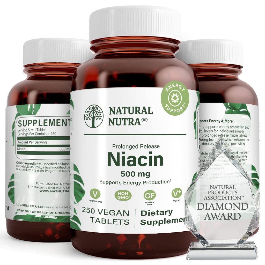 Naravni nutra čas sproščanje počasi niacin 500mg (vitamin B3), podpora zdravo holesterol, spodbuja kardiovaskularno zdravje, spodbuja kožne celice in izboljšuje kognitivno funkcijo, 250 Veganske tablete