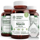 Naravni nutra čas sproščanje počasi niacin 500mg (vitamin B3), podpora zdravo holesterol, spodbuja kardiovaskularno zdravje, spodbuja kožne celice in izboljšuje kognitivno funkcijo, 250 Veganske tablete