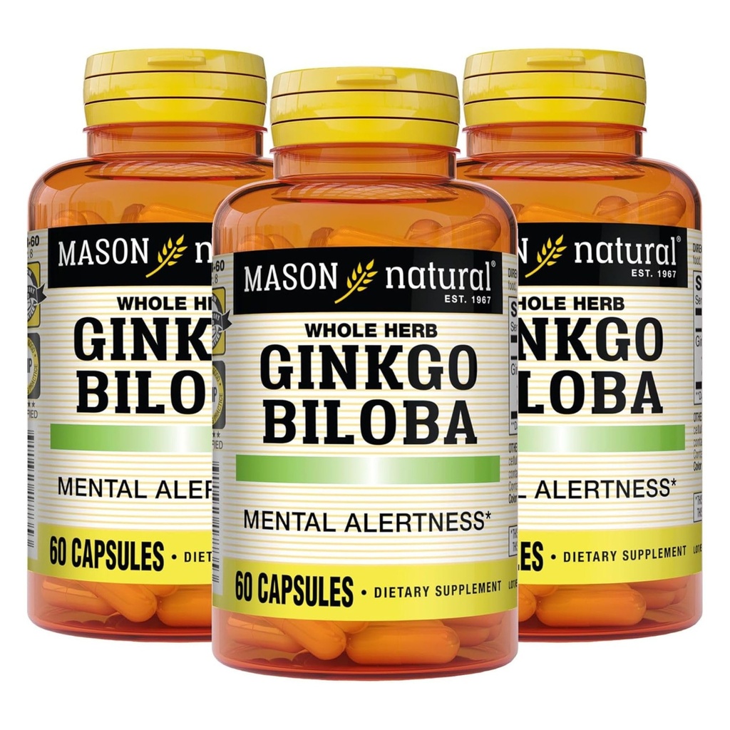 MASON NARAVNI Ginkgo Biloba, 3-mesečna oskrba, pomaga izboljšati duševno budnost in podporo optimalno delovanje možganov, 60 kapsul (3 pakiranja)