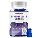 Alpha GPC Choline Gummies 600mg s fosfatidilserin & Bacopa – 3-in-1 Brain Support for Memory, Focus & Long-Term Cognitive Health – Sladkor-Free, naravna formula, 60 Count