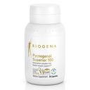 Biogena Pycnogenol 100 mg zlato s premijskim patentiranim francoskim izvlečkom borovega barka (Pinus Pinaster) za podporo krvne cirkulacije