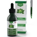 Klorofil Tekoče kapljice - 100% naravni energijski ojačevalec in imunske podpore - notranji deodorant in detoks - Višinska bolezen Relief - hitra absorpcija, Vegan & Non-GMO - 120 Serving (Pack po 1)