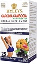HYLEYS Tea Garcinia Cambogia Zeleni čaj z okusom Acai Berry - 25 čajnih vrečk (12 paketov - 300 čajnih vrečk skupaj)