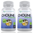 Premium Choline - 500 mg - 120 Veggie Kapsule - podpira kognitivno zdravje, spomin in več - 2 paketa