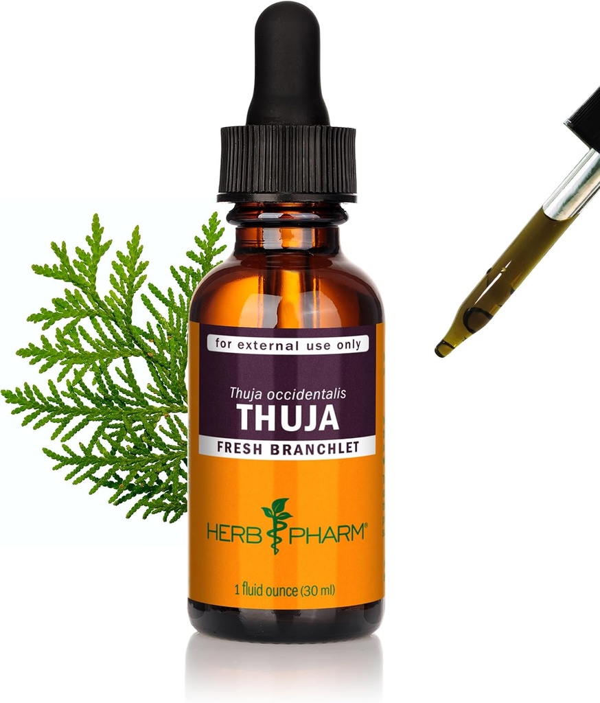 Tekoči ekstrakt zeliščnega Pharm Thuja - 1 Ounce (DTHUJA01)