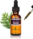 Tekoči ekstrakt zeliščnega Pharm Thuja - 1 Ounce (DTHUJA01)
