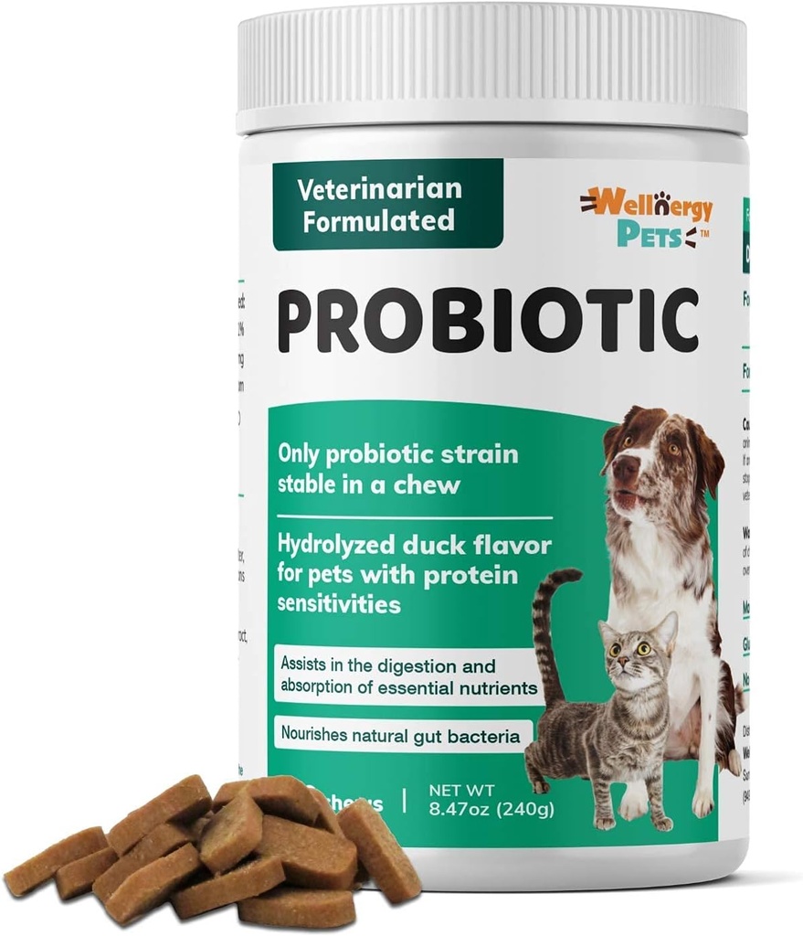 Wellnergy Daily Probiotic & Prebiotics Soft Chew za pse in mačke - Prebavna podpora za drisko, zaprtje, upset želodec, prebavne motnje in plin - pomaga prebave, alergije kože in imunskega zdravja 160ct