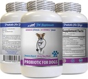 Bad Dog Breath Remedy - PROBIOTICS for Dogs - Healthy Gut - Stop Gas Diarrhea and Bad Breath - Digestive Boost - Dog probiotics Bad Breath - 1 Bottle (60 Treats)