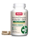 Jarrow Formulas Saccharomyces Boulardii + MOS - 5 milijardni organizmi na serviranje - 180 zapoznelih release Veggie Caps - Probiotic + Prebiotic - Intestinal Tract Support - Do 180 Servings
