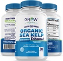 Okrepljen organski morski Kelp (Icelandic) - Čista podpora za zdravo ščitnico Natural Jodine Supplement w/Organic Sea Kelp, modro-zeleni alge in rdeče alge - Imunski sistem in presnovna podpora - 90 kapsul