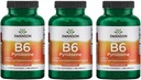 Swanson B6 Pyridoxin - vitamin dopolnilo spodbujanje kardiovaskularnega zdravja in energije Presnova - naravna formula spodbujanje splošno Wellness - (250 kapsul, 100mg vsak) 3 pakiranje