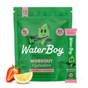 Hidracija Waterboy Workout 