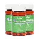 CAW Nano Cycloastragenol 98% 5mg 30 Caps 