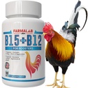 Farmalab B12 B15 za Roosters B15 B12 para Gallos 100 tablet