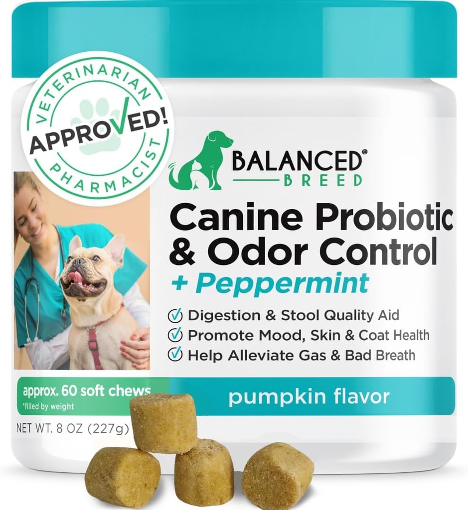 Uravnoteženi pasji probiotiki Prebavne zdravstvene encime Made in USA Vet-Pharmacist Odobreni Fortiflora Probiotiki Psi Proti Kvasu Dodatki Zaprtje Relief Dog Srbeča koža Srbeča ušesa Non-GMO