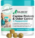Uravnoteženi pasji probiotiki Prebavne zdravstvene encime Made in USA Vet-Pharmacist Odobreni Fortiflora Probiotiki Psi Proti Kvasu Dodatki Zaprtje Relief Dog Srbeča koža Srbeča ušesa Non-GMO