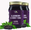 Green Jay Gourmet Bezgov tonik – All Natural Elderberry Syrup – Elderberry Imunska podpora za otroke in odrasle – Močna borovnica in medena mešanica – Sambucus Elderberry Syrup – 2 x 22