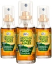 Beelife Propolis Pršilo za grlo– Umirjanje medu in Ginger Propolis Naravna imunost podpora & Bee Propolis Extract-Antioksidanti, bogata z aromanoidi in Artepillin, Brez sladkorja, Gluten-free- 3 Pack, 90ml