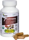 Sayan 7 Izvleček gob 90 Kapsule/440mg ea – Imunska podpora in energija – Organski Chaga, Reishi, Levje Mane, Maitake, Shiitake, Turčija Tail Adaptogen Blend – Vegan, Non-GMO, Brez polnil ali dodatkov