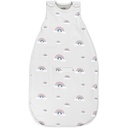 Wolino Merino Wool Ultimate Baby Sleep Sack - 4 Sezona Baby Nositi Blaket - Dvo-Way Zipper Nastavljiva spalna vreča za dojenčke in malčke - Univerzalna velikost (2-24 mesecev) - Rainbow