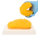 Človeško telo Fat Replica, 1 lb Fat Anatomy Model za Anatomy razred prikazovalnik, bivanje zdravo, hujšanje motivacija opomnik