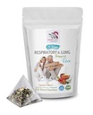 Čaj poprove mete - ODZIVNOST IN PODPORA LUNG TEA 14 DNI - astragalus membranaceus koren, cimet, Hibiscus, Marshmallow koren, organski zeliščni čaj, pljučna podporna zelišča, imunski čaj - 1Pack 14 vrečk