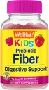 WellYea Prebiotic Fiber Gummies za otroke - Prebavni sistem podpora, zdravnik priporoča - Vegan prijazno in Gluten-free, GSO brezplačno - Yummy Berry Flavors - 60 Count