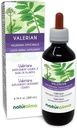 Naturalma Valerian (Valariana officinalis) Root Alkohol-free Tincture - 6.76 fl oz Tekoči ekstrakt v kapljicah - Zeliščni dodatek - Vegan