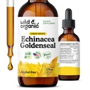 Divji in organski Echinacea Goldenseal tekoče kapljice - Imunska podpora dodatek w/ Goldenseal Echinacea Root Extract - Vegan, sladkor in alkohol brez tinkture - 2 fl oz