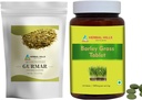 HERBAL HILLS Gurmar čaj v prahu in Ječmen trava tablete Pakiranje 2 Combo