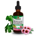 Odgovor narave Echinacea & Goldenseal z organskim alkoholom, 2-fluid ounces