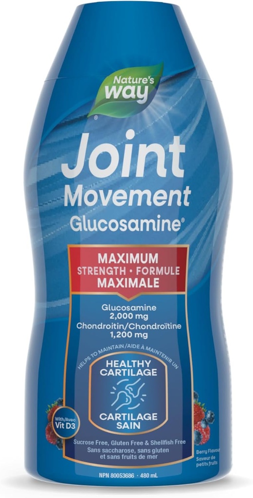 NATURES way Liquid Formula skupno gibanje glukozamin, 480 ML