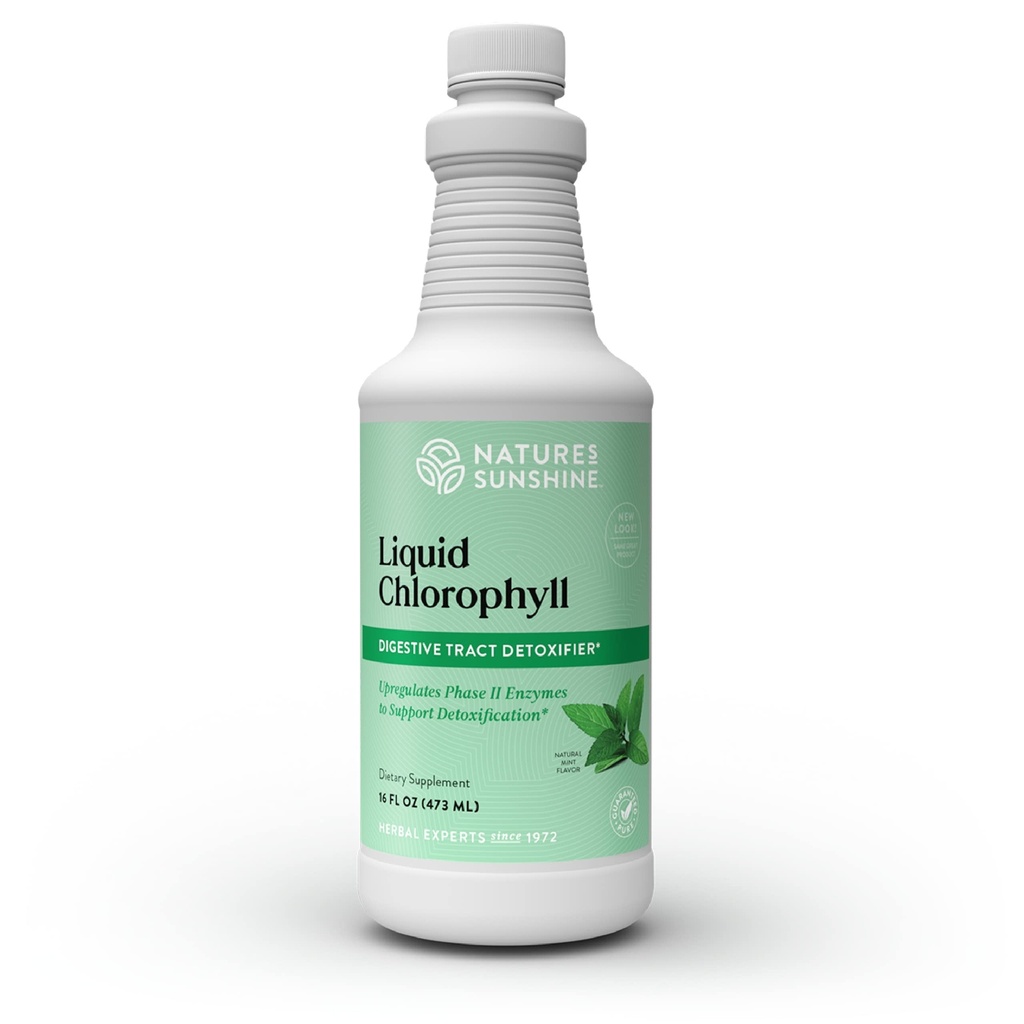 Narava Sunshine Tekoči klorofil - Immuniteta Podpora, Detox & Cleanse, Klorofil Tekoči kapljice s spearmint oljem, Naravna energija Boost, notranji deodorant - 16 Fl Oz