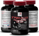 Natural Stamina Boost - TRIBULUS TERRESTIS Extract - Podpora moči in dejavnosti, Energija Optimizacija Formula, Rastlinska moč, Telesna zmogljivost Mešanica, Aktivna regeneracija, Energijski pretok 1Bot 90Tabs