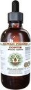 Coptis Alkohol-free Liquid Extract, Coptis (Rhizoma Coptidis) Suhi koren Glicerit Havaji Pharm naravni zeliščni dodatek 2 oz