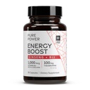 Dr. Mercola Pure Energy Boost, 30 Serving (30 kapsul), Ginseng + B12, Prehranska dopolnila, Povečuje telesno in duševno energijo, Non-GMO