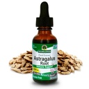 Naravni odgovor Astragalus Root Alkohol brez zeliščnega dodatka 1 Ounce ( 2 Pack ) 