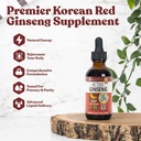 Aktivni ginseng korejski Red Panax ginseng z naravnimi ginsenozidi - hitro absorbira tekočine - Podpira zdravo energijo, Vitalnost, Mood in več