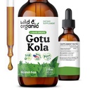 Wild & Organic Gotu Kola Herb Tincture - Podpora za možgane - Gotu Kola Liquid Extract kapljice - Vegan, Sugar & Alkohol-free Centella Asiatica dodatek - 2 fl oz