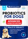 Probiotiki za pse - podpora Gut Health, Srbeče kože, alergije, Imuniteta, Yeast Balance - Pasji probiotiki in prebavne encime - 30 palic